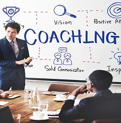 Mentorship & Coaching